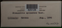 Image Associated With the Occurence